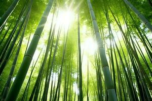 View of botanical green bamboo tropical forest in daylight. Oriental bamboo grove in china japanese concept by AI Generated photo