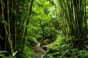 View of botanical green bamboo tropical forest in daylight. Oriental bamboo grove in china japanese concept by AI Generated photo