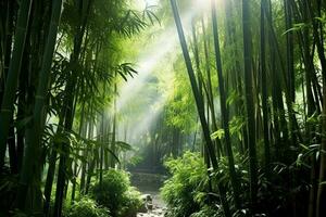 View of botanical green bamboo tropical forest in daylight. Oriental bamboo grove in china japanese concept by AI Generated photo