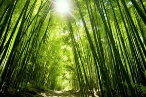 View of botanical green bamboo tropical forest in daylight. Oriental bamboo grove in china japanese concept by AI Generated photo