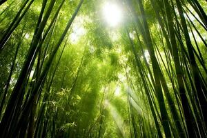 View of botanical green bamboo tropical forest in daylight. Oriental bamboo grove in china japanese concept by AI Generated photo