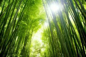 View of botanical green bamboo tropical forest in daylight. Oriental bamboo grove in china japanese concept by AI Generated photo