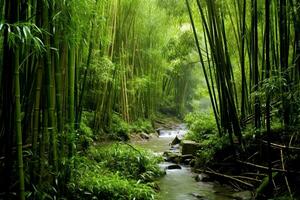 View of botanical green bamboo tropical forest in daylight. Oriental bamboo grove in china japanese concept by AI Generated photo