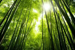 View of botanical green bamboo tropical forest in daylight. Oriental bamboo grove in china japanese concept by AI Generated photo