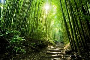 View of botanical green bamboo tropical forest in daylight. Oriental bamboo grove in china japanese concept by AI Generated photo