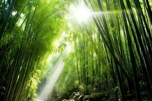 View of botanical green bamboo tropical forest in daylight. Oriental bamboo grove in china japanese concept by AI Generated photo