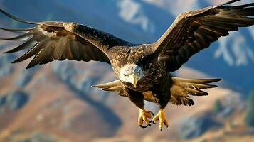 Eagle freely flying under the sunlight and blue sky. Predatory bird hunting in safari east africa concept by AI Generated photo