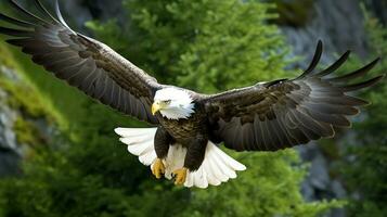 Eagle freely flying under the sunlight and blue sky. Predatory bird hunting in safari east africa concept by AI Generated photo