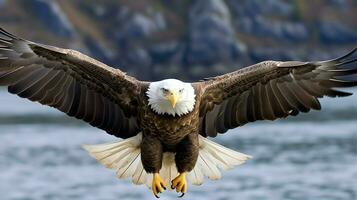 Eagle freely flying under the sunlight and blue sky. Predatory bird hunting in safari east africa concept by AI Generated photo