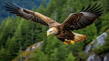 águila libremente volador debajo el luz de sol y azul cielo. depredador pájaro caza en safari este África concepto por ai generado foto