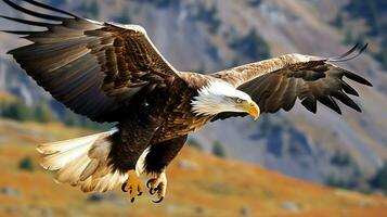 Eagle freely flying under the sunlight and blue sky. Predatory bird hunting in safari east africa concept by AI Generated photo