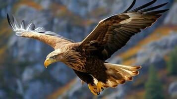 Eagle freely flying under the sunlight and blue sky. Predatory bird hunting in safari east africa concept by AI Generated photo