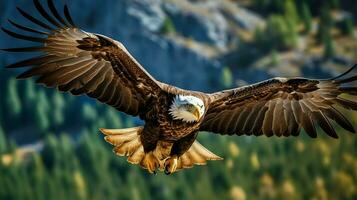 águila libremente volador debajo el luz de sol y azul cielo. depredador pájaro caza en safari este África concepto por ai generado foto