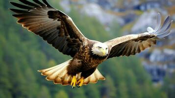 águila libremente volador debajo el luz de sol y azul cielo. depredador pájaro caza en safari este África concepto por ai generado foto