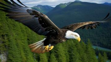 Eagle freely flying under the sunlight and blue sky. Predatory bird hunting in safari east africa concept by AI Generated photo