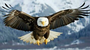 águila libremente volador debajo el luz de sol y azul cielo. depredador pájaro caza en safari este África concepto por ai generado foto