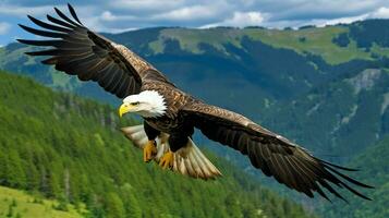 Eagle freely flying under the sunlight and blue sky. Predatory bird hunting in safari east africa concept by AI Generated photo