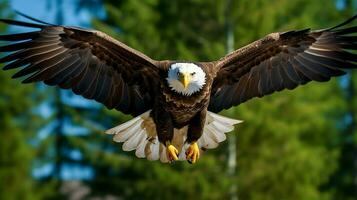águila libremente volador debajo el luz de sol y azul cielo. depredador pájaro caza en safari este África concepto por ai generado foto