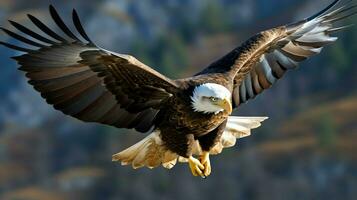 Eagle freely flying under the sunlight and blue sky. Predatory bird hunting in safari east africa concept by AI Generated photo