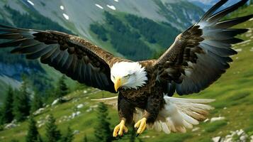 Eagle freely flying under the sunlight and blue sky. Predatory bird hunting in safari east africa concept by AI Generated photo