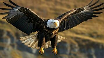 Eagle freely flying under the sunlight and blue sky. Predatory bird hunting in safari east africa concept by AI Generated photo