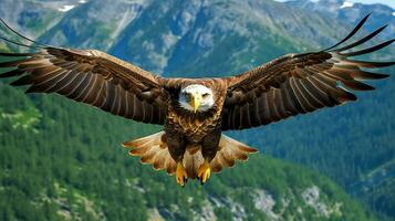 águila libremente volador debajo el luz de sol y azul cielo. depredador pájaro caza en safari este África concepto por ai generado foto