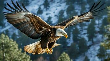 Eagle freely flying under the sunlight and blue sky. Predatory bird hunting in safari east africa concept by AI Generated photo