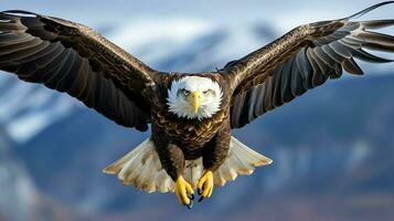 Eagle freely flying under the sunlight and blue sky. Predatory bird hunting in safari east africa concept by AI Generated photo