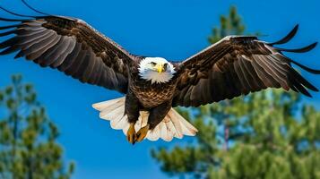 águila libremente volador debajo el luz de sol y azul cielo. depredador pájaro caza en safari este África concepto por ai generado foto