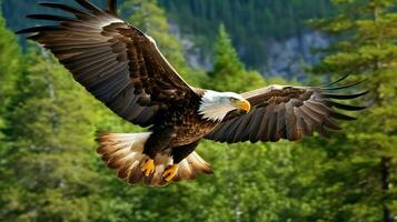 Eagle freely flying under the sunlight and blue sky. Predatory bird hunting in safari east africa concept by AI Generated photo