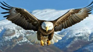 Eagle freely flying under the sunlight and blue sky. Predatory bird hunting in safari east africa concept by AI Generated photo