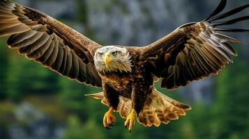 Eagle freely flying under the sunlight and blue sky. Predatory bird hunting in safari east africa concept by AI Generated photo