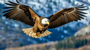 Eagle freely flying under the sunlight and blue sky. Predatory bird hunting in safari east africa concept by AI Generated photo