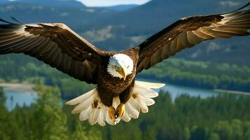 Eagle freely flying under the sunlight and blue sky. Predatory bird hunting in safari east africa concept by AI Generated photo