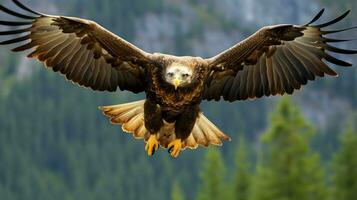 Eagle freely flying under the sunlight and blue sky. Predatory bird hunting in safari east africa concept by AI Generated photo