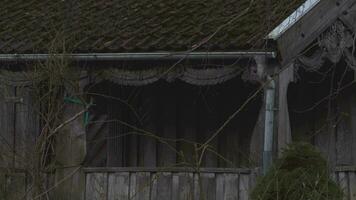 mörk skrämmande besatt hus veranda, medium skott video