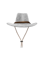 cow-boy paille chapeau png transparent