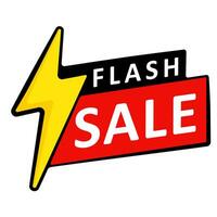 Flash Sale label vector