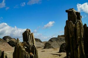 Impressions of the endless beach at the northern sea in Blavand Denmark photo