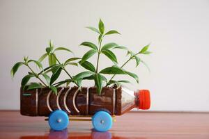 DIY car which grow plants, made from plastic bottle and caps. Concept, Gardening from recycle crafts. Reduce, reuse and recycle plastic garbage. photo