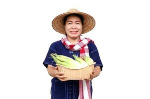 Asian woman farmer hold basket of fresh organic corn. Thai local breed. Favorite for Thai northern farmers grow for boil, steam or cook for Thai traditional dessert. Concept, agricultural crop product photo