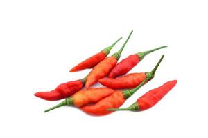 Organic red chillies isolated on white background. Concept, food ingredient for seasoning with hot and spicy taste of food. Medicinal property. Medicine from nature vegetables. Thai hot chillies. photo