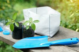 Blue shovel. white sack and equipment for growing plants in used plastic bottles with organic soil. Concept, gardening tool. Planting seedlings in plastic bottles. photo