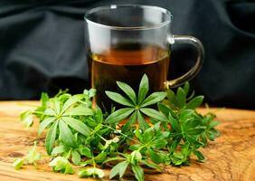 Leaves of the woodruff plant Galium odoratum fresh and dried photo