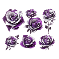 rosa, flor, pétalos, fragancia ai generativo png