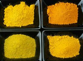 different kinds of Turmeric Curcuma longa curry mix photo