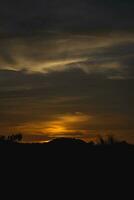 puesta de sol en el Desierto con siluetas de palma arboles foto