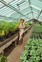 un hermosa joven mujer toma cuidado de plantas en un invernadero. el concepto de jardinería y un Respetuoso del medio ambiente estilo de vida. foto