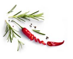 fresco erba rosmarino e rosso peperoncino Pepe isolato su trasparente sfondo. trasparente sfondo e naturale trasparente ombra, ingrediente, Spezia per cucinando. collezione per design png