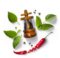 traditional italian pepper shaker, red chilli pepper and green organic basil leaves isolated on transparent background. Transparent background and real natural transparent shadow png